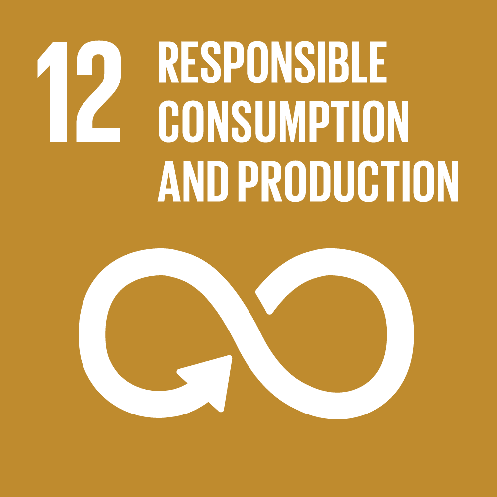 Goal 12: Responsible Consumption and Production